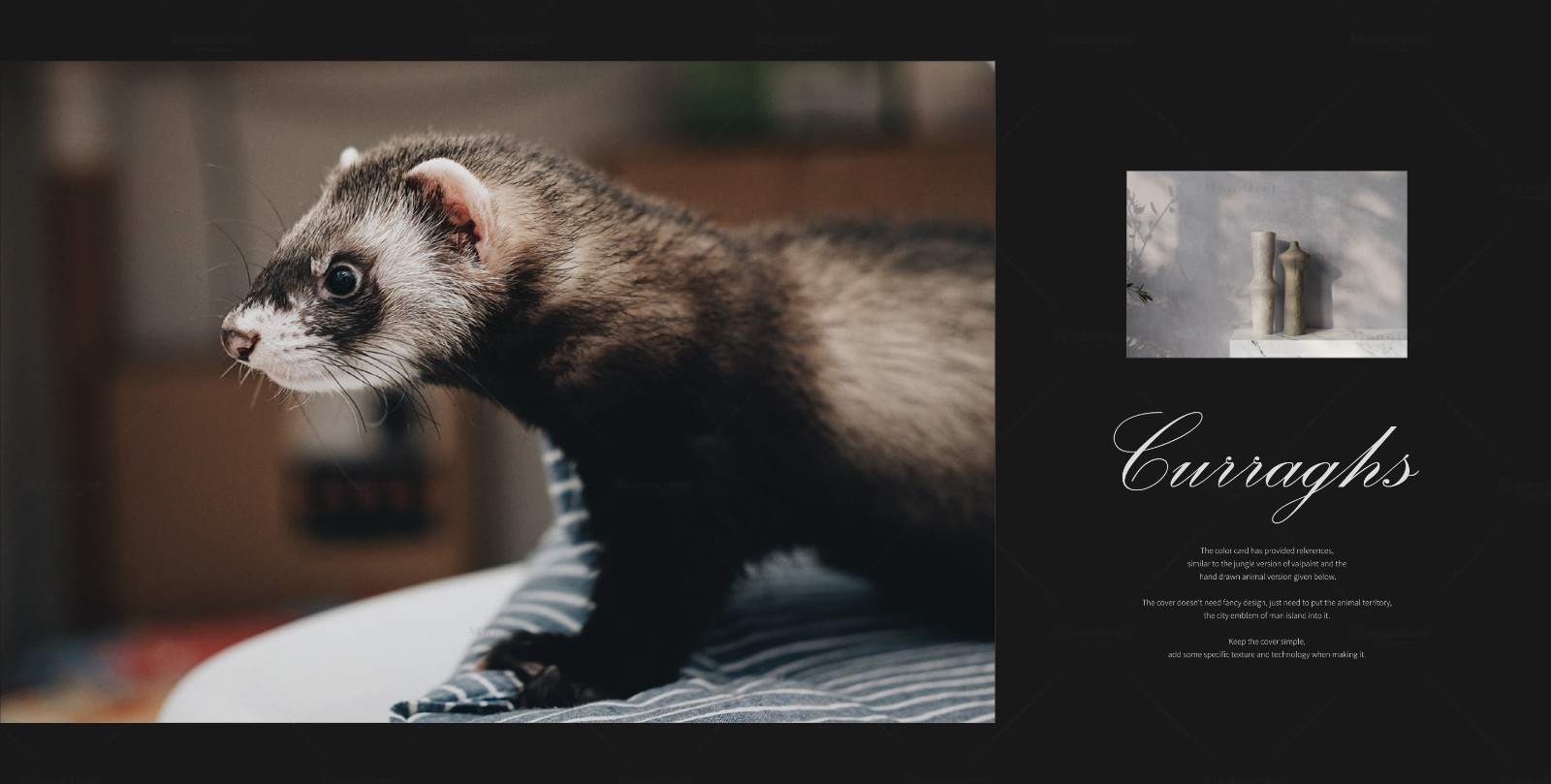 Ferrets-fluff-paint-2.jpg